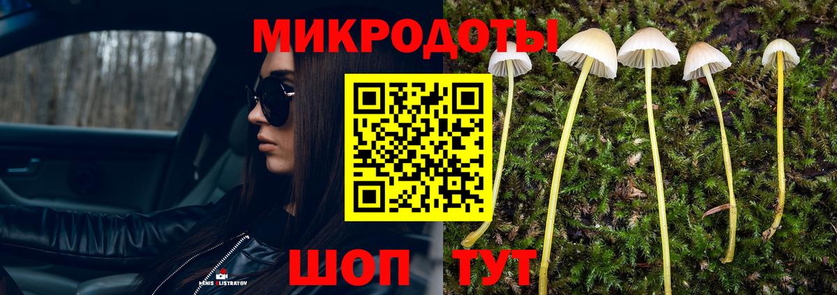 Курчалой  Псилоцибиновые грибы Psilocybine cubensis  Псилоцибиновые грибы MAGIC MUSHROOMS  Вход с VPN 