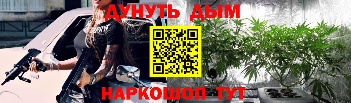 Бошки Шишки OG Kush  Бошки Шишки план  Вход с VPN  Курчалой  Каннабис ГИДРОПОН 